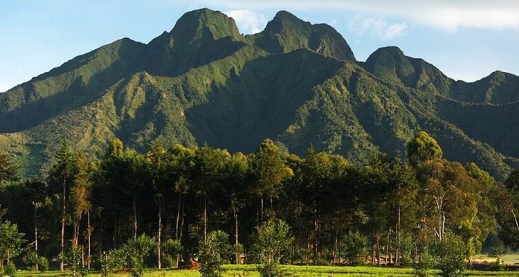 Volcano Hikes: Conquer the Giants of the Virungas