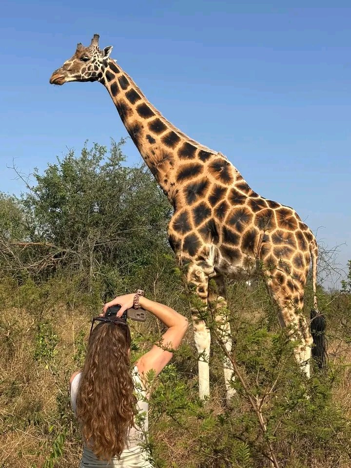 Akagera Game Drives: A Multi-Day Safari Adventure